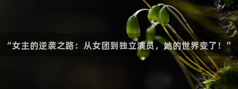 风暴娱乐登录：“女主的逆袭之路：从女团到独立演员，她的世界变了！”