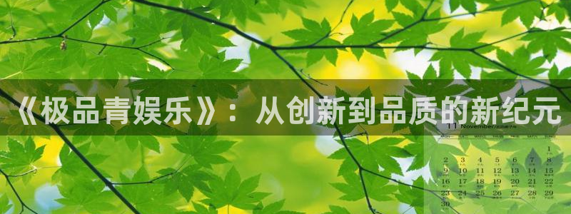 风暴娱乐登录入口：《极品青娱乐》：从创新到品质的新纪元