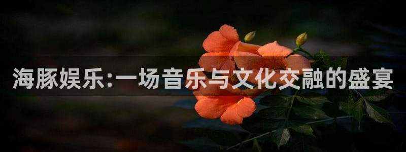 风暴娱乐登录