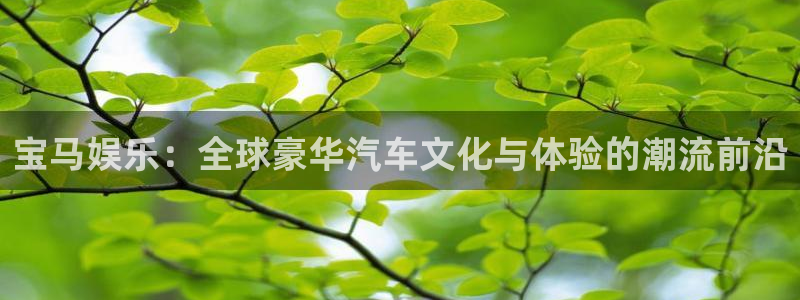 风暴娱乐登录地址：宝马娱乐：全球豪华汽车文化与体验的潮流前沿