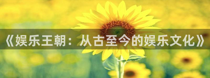 风暴娱乐登录地址：《娱乐王朝：从古至今的娱乐文化》