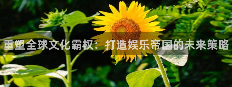 风暴娱乐登录入口：重塑全球文化霸权：打造娱乐帝国的未来策略