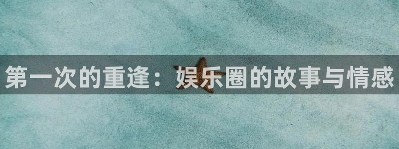 风暴娱乐登录：第一次的重逢：娱乐圈的故事与情感