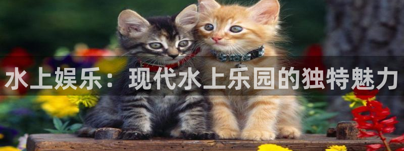 风暴娱乐官网：水上娱乐：现代水上乐园的独特魅力