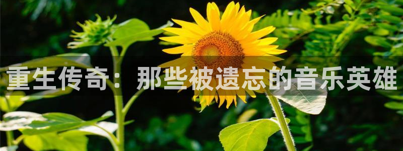 风暴娱乐官网：重生传奇：那些被遗忘的音乐英雄