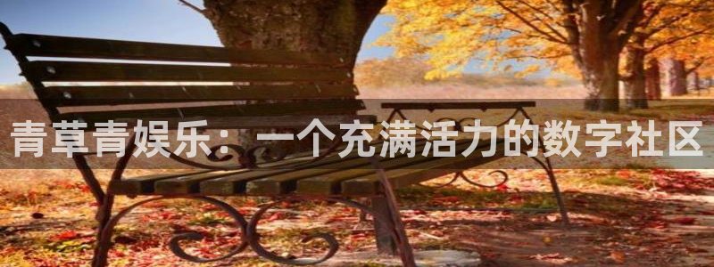 风暴娱乐：青草青娱乐：一个充满活力的数字社区