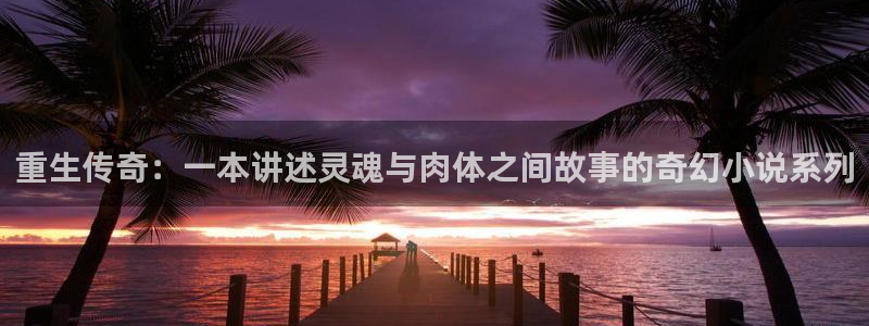 风暴娱乐登录：重生传奇：一本讲述灵魂与肉体之间故事的奇幻小说系列